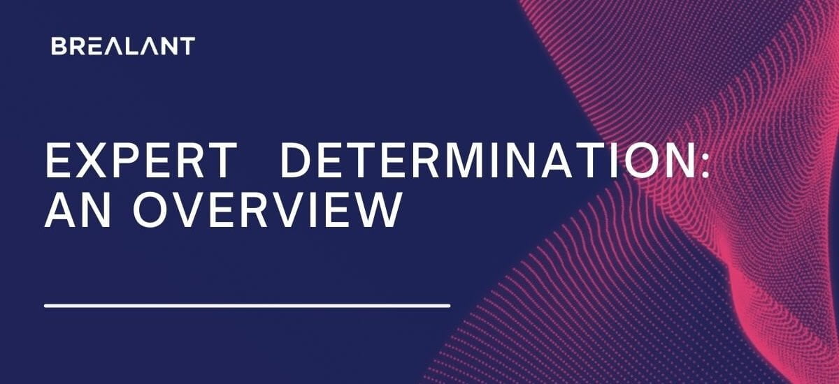 Expert Determination: An Overview